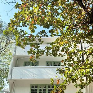 The Green Khaosan Bangkok